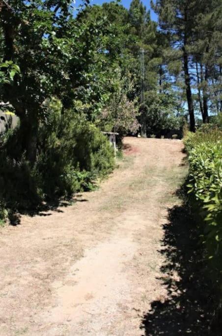 Appartement Tout Equipe En Rez-De-Jardin Entre Gard Et Ardeche Saint-Julien-de-Peyrolas Εξωτερικό φωτογραφία